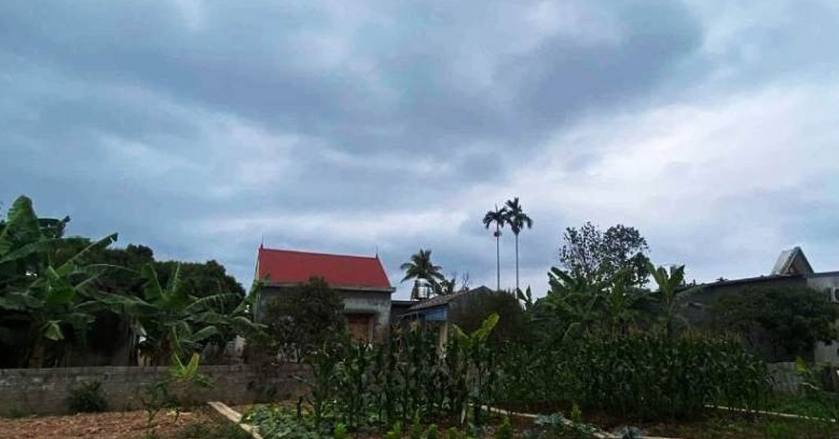 Lần nào nhờ đưa đón, con rể cũng tạt vào cây xăng, lý do khiến mẹ vợ nghẹn lòng