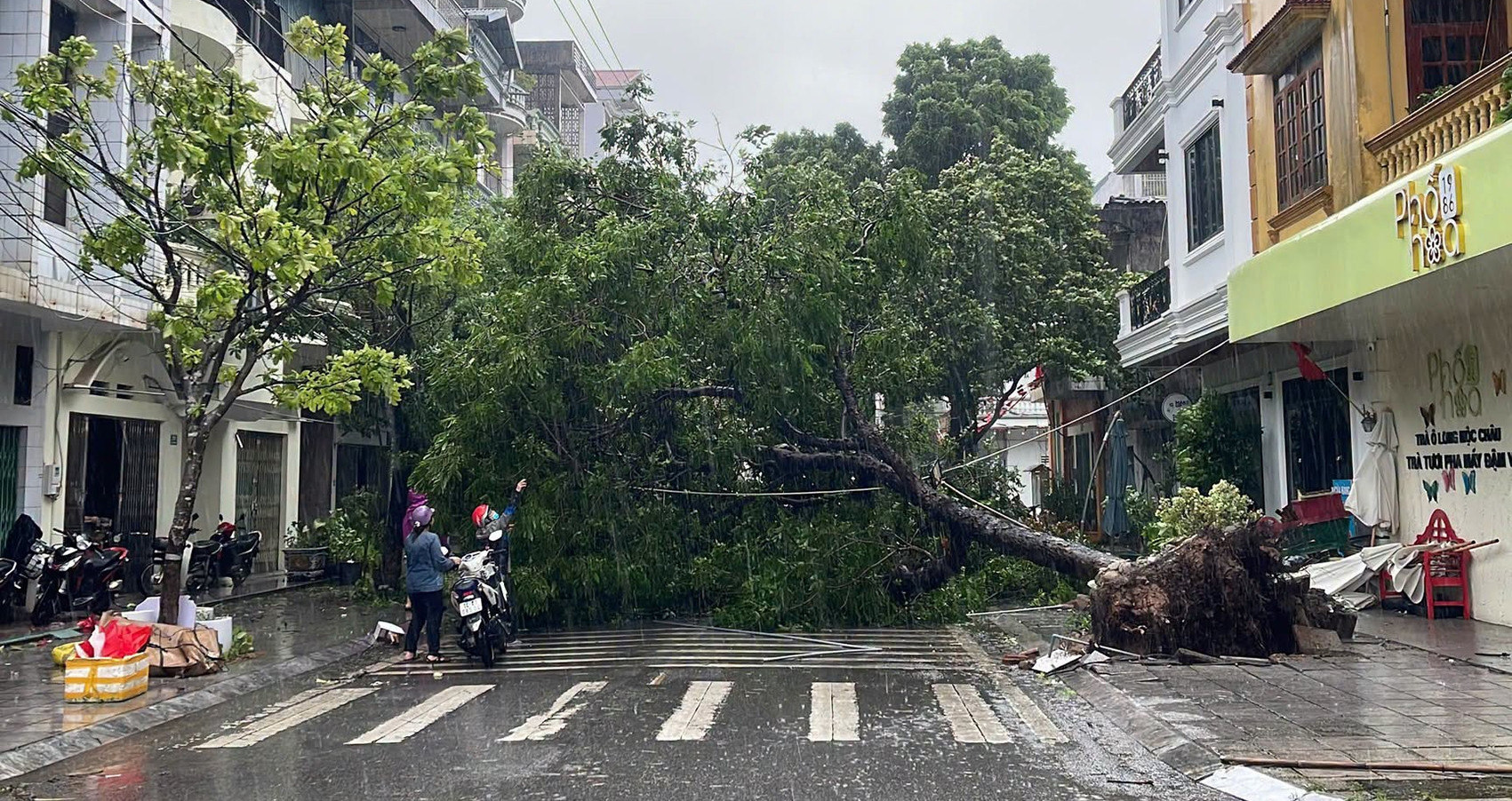 Bão số 1 Maysak sắp đổ bộ, gió mạnh quật đổ cây, tốc mái ở Móng Cái