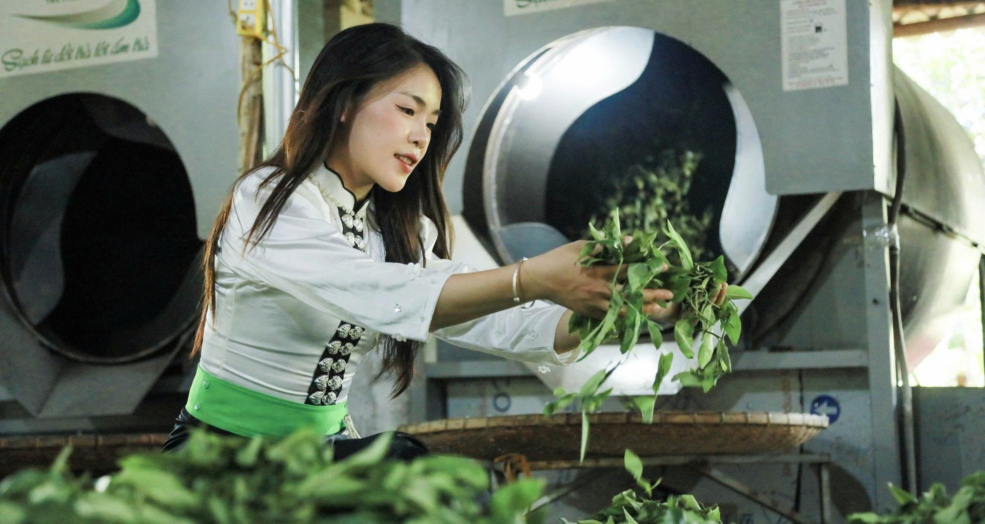 Ảnh minh họa của bài nguồn «Mỗi ngày hái 40kg chè, người dân Co Hón thoát nghèo bền vững». Ảnh: Báo VietNamNet (hiển thị trực tiếp từ trang nguồn)