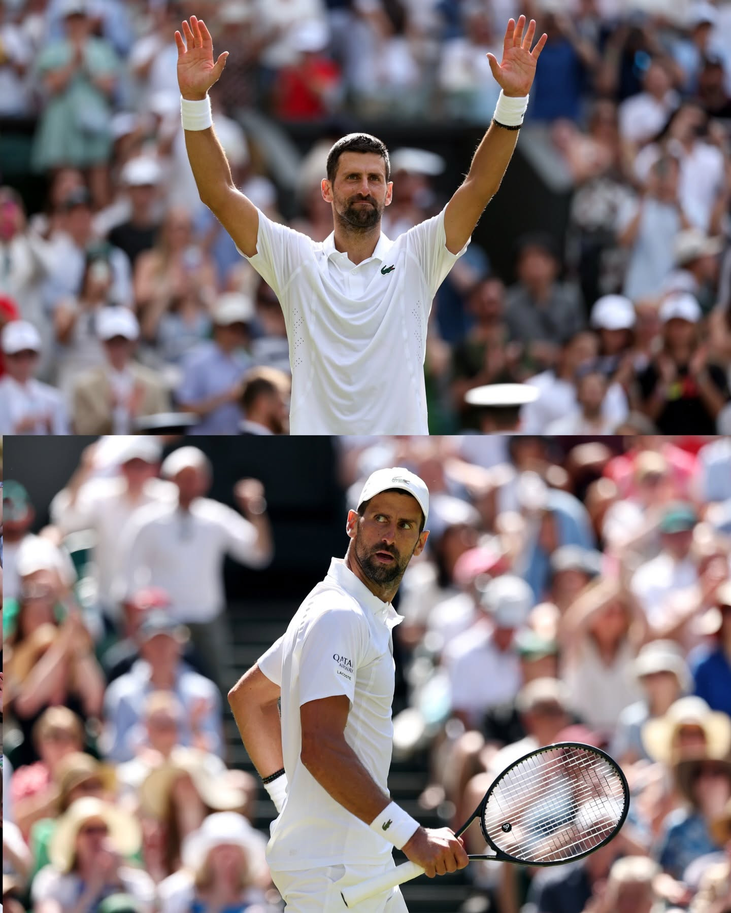 novak djokovic 1.jpg