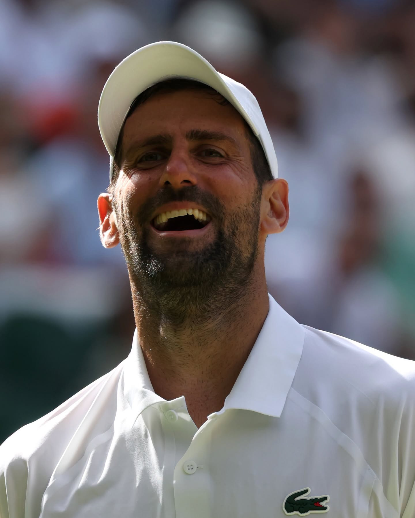 https://static-images.vnncdn.net/vps_images_publish/000001/000003/2026/7/6/novak-djokovic-3-174.jpeg