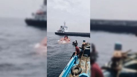 Tàu hàng tông chìm tàu cá, 17 thuyền viên rơi xuống biển