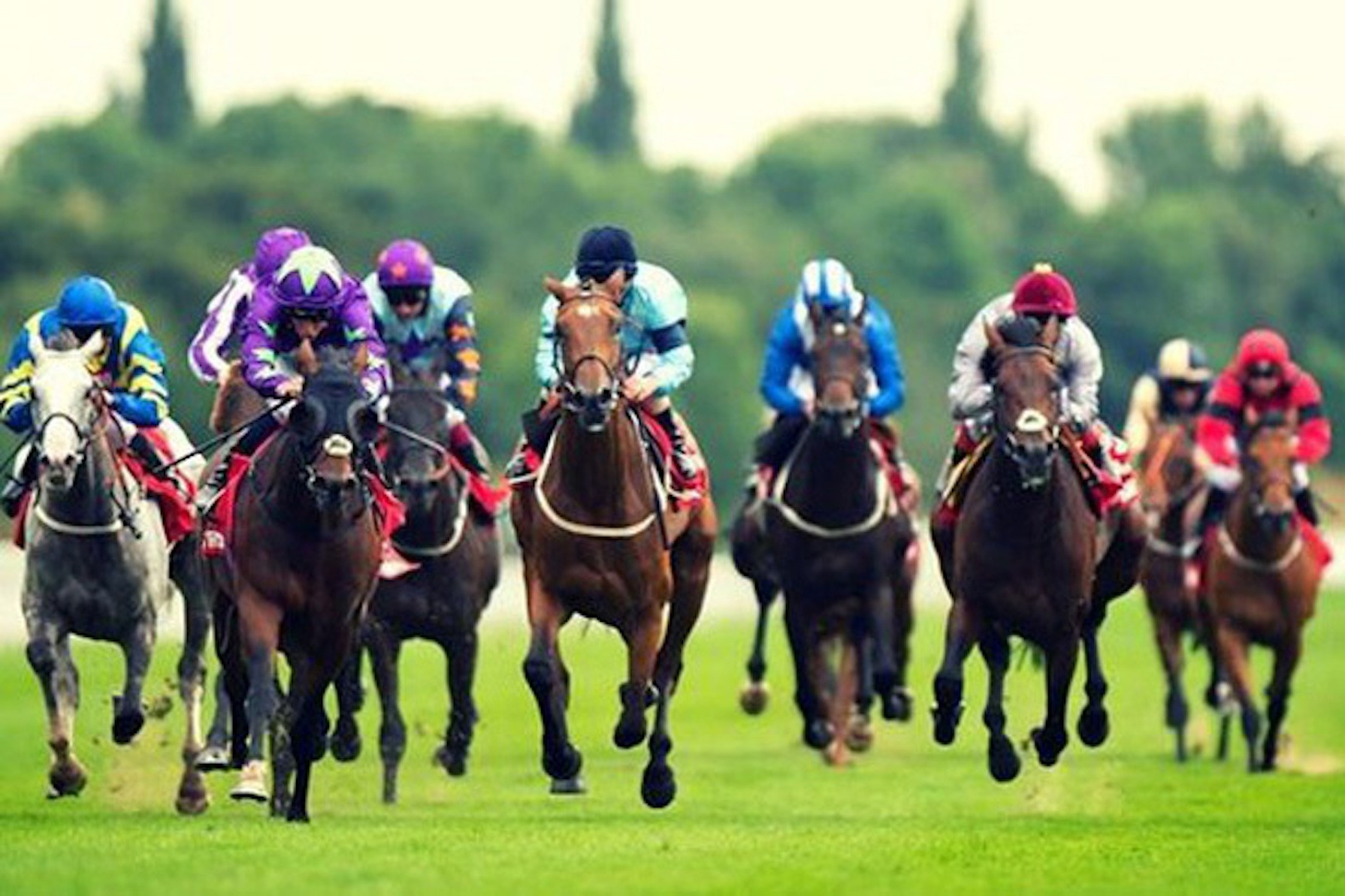 Hà Nội duyệt quy hoạch tổ hợp trường đua ngựa 125ha tại Sóc Sơn