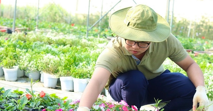 Học viện Nông nghiệp Việt Nam công bố điểm sàn xét tuyển năm 2026