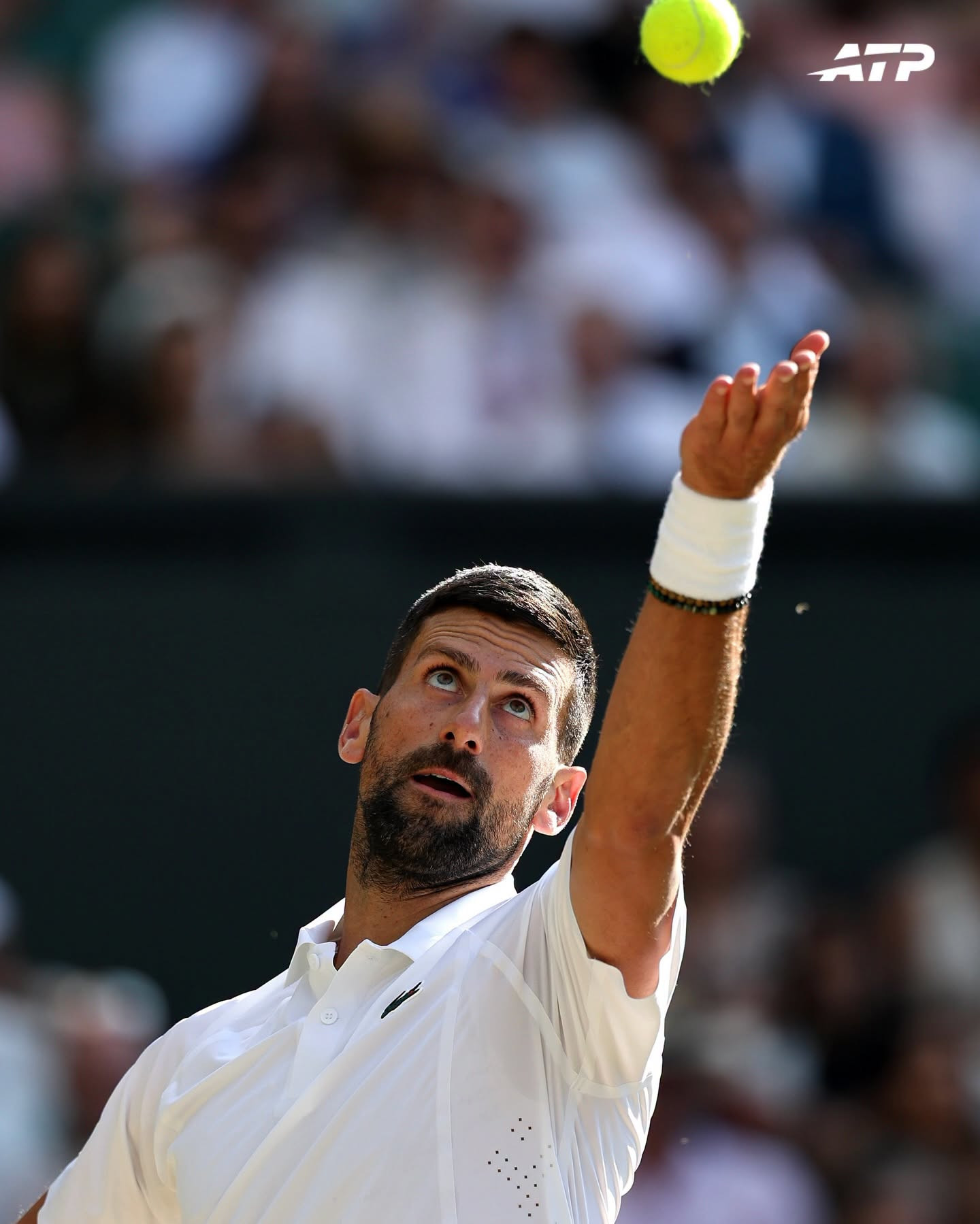 https://static-images.vnncdn.net/vps_images_publish/000001/000003/2026/7/8/novak-djokovic-5-712.jpeg