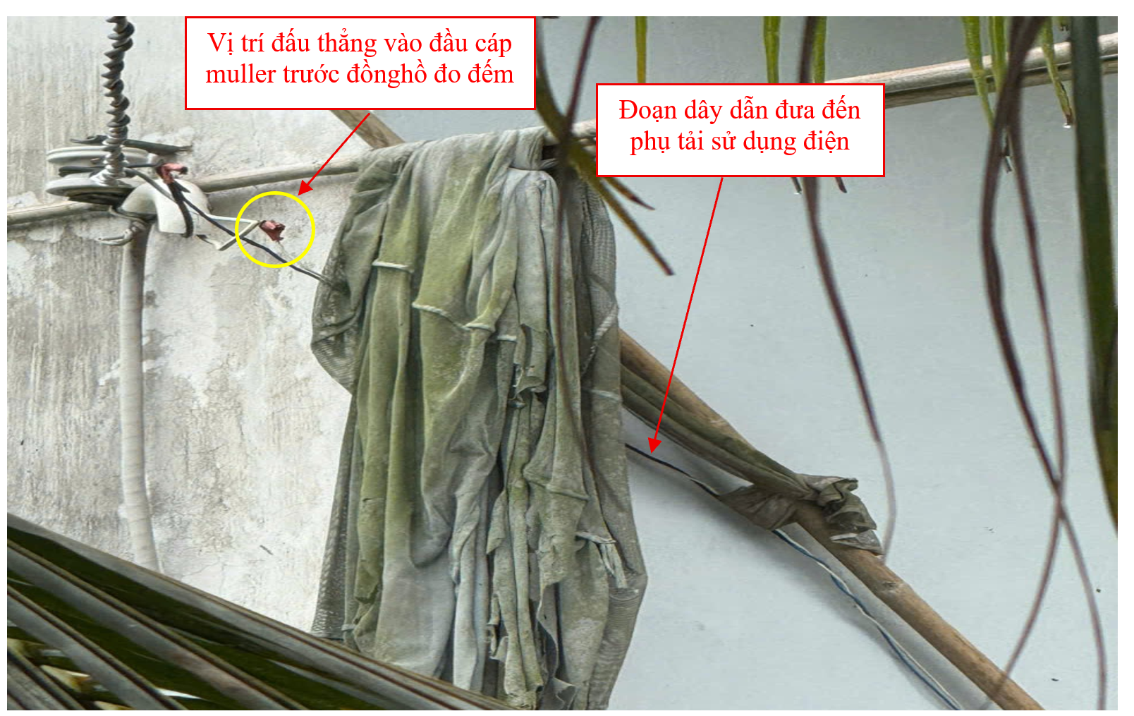 Cong ton gan trong nha.png