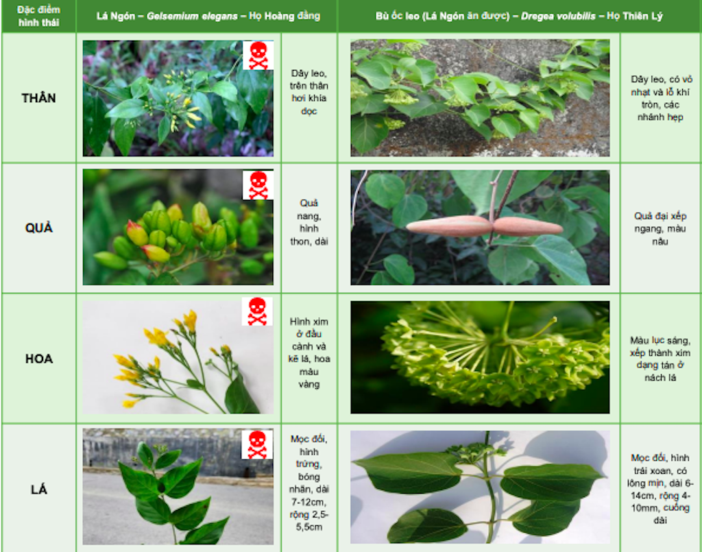 Ảnh chụp Màn hình 2026 08 01 lúc 06.32.03.png