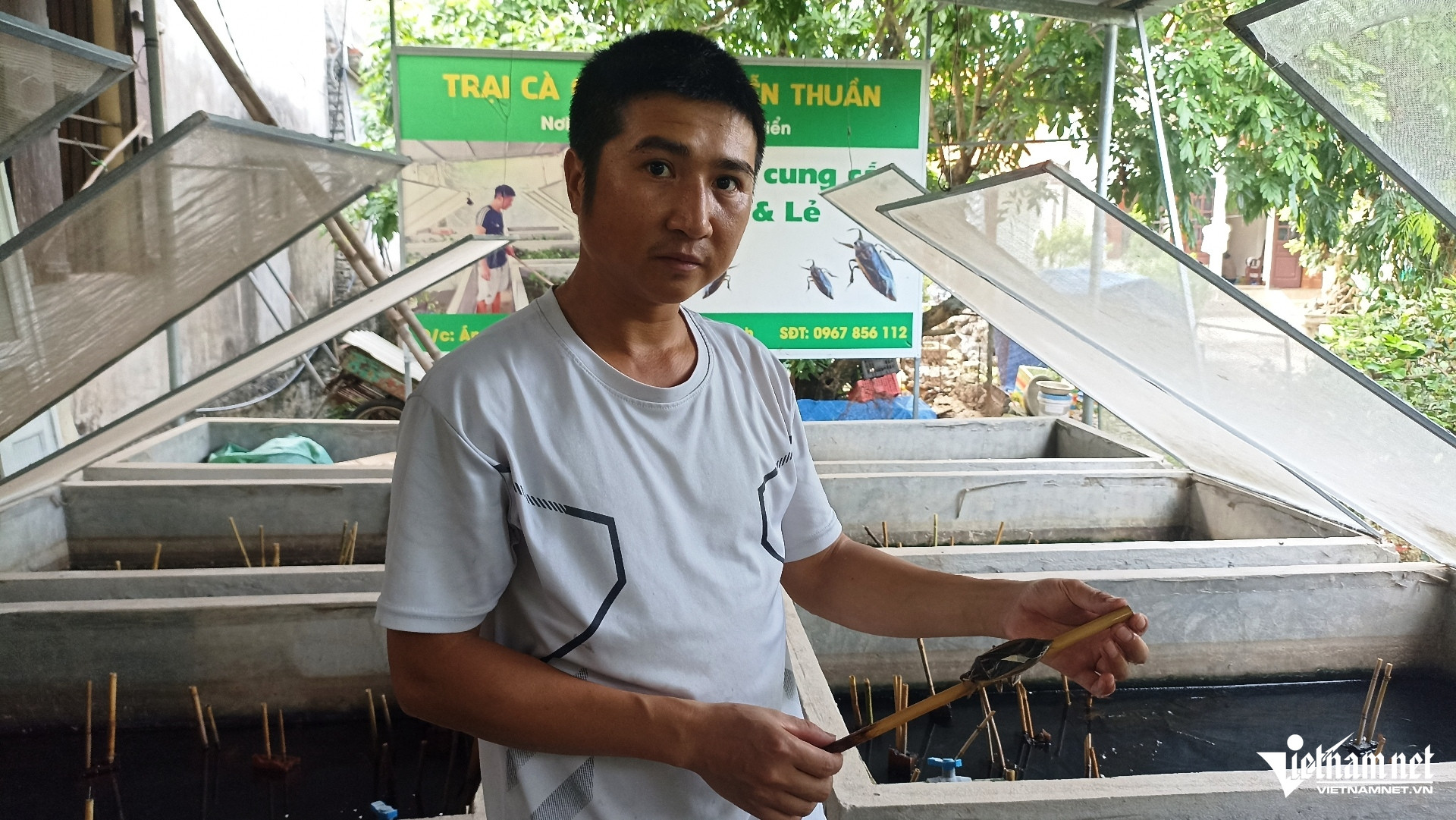 W-Cà Cuống 2.jpg