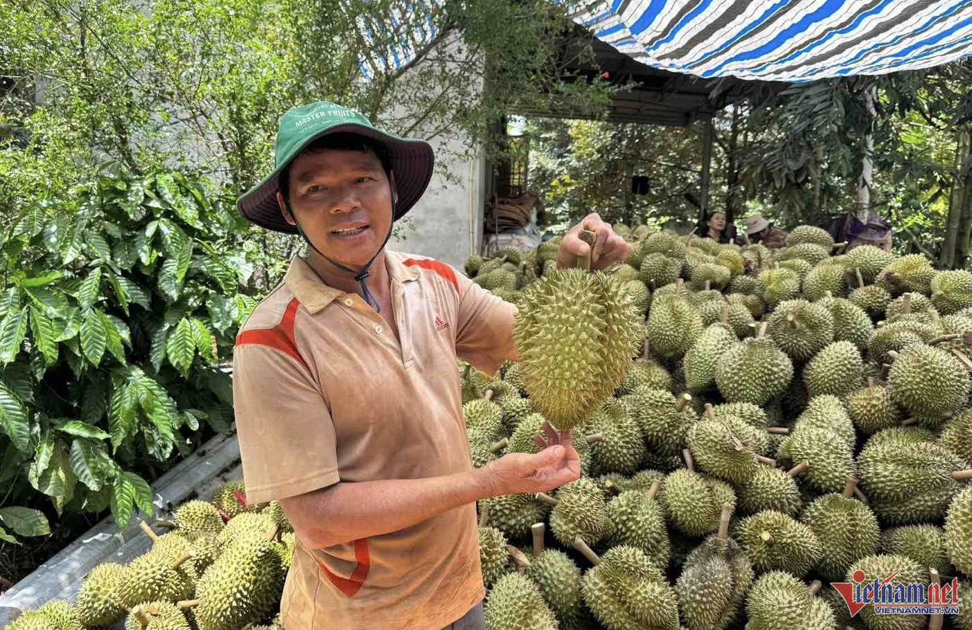 Trung Quốc nhập 1 triệu tấn sầu riêng, Thái Lan bỏ xa Việt Nam vì 'hàng loại A'