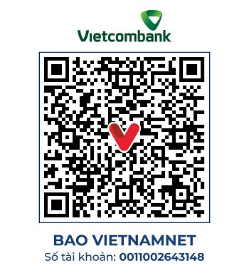 https://static-images.vnncdn.net/vps_images_publish/000001/000003/2026/8/10/vc-214-chi-hoai-2804.jpg