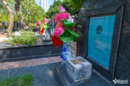https://static-images.vnncdn.net/vps_images_publish/000001/000003/2026/8/10/w-dsc-3815-1153.jpg
