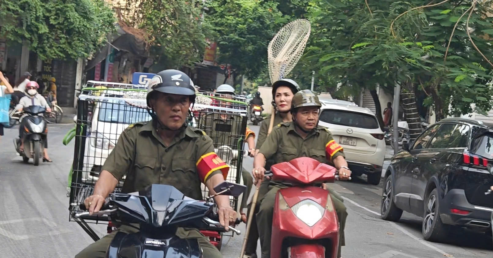 Tổ bắt chó thả rông ở Hà Nội liên tục đổi giờ tuần tra để xử lý vi phạm