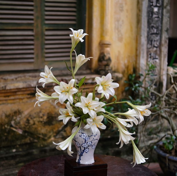 https://static-images.vnncdn.net/vps_images_publish/000001/000003/2026/8/12/2026banhtrungthu8-898.png