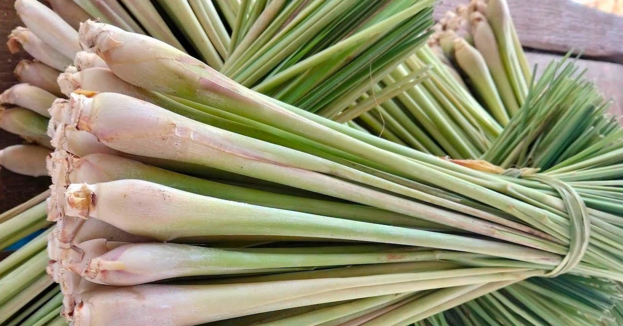 Dùng sả hằng ngày mang lại nhiều lợi ích nhưng 3 nhóm người cần hạn chế