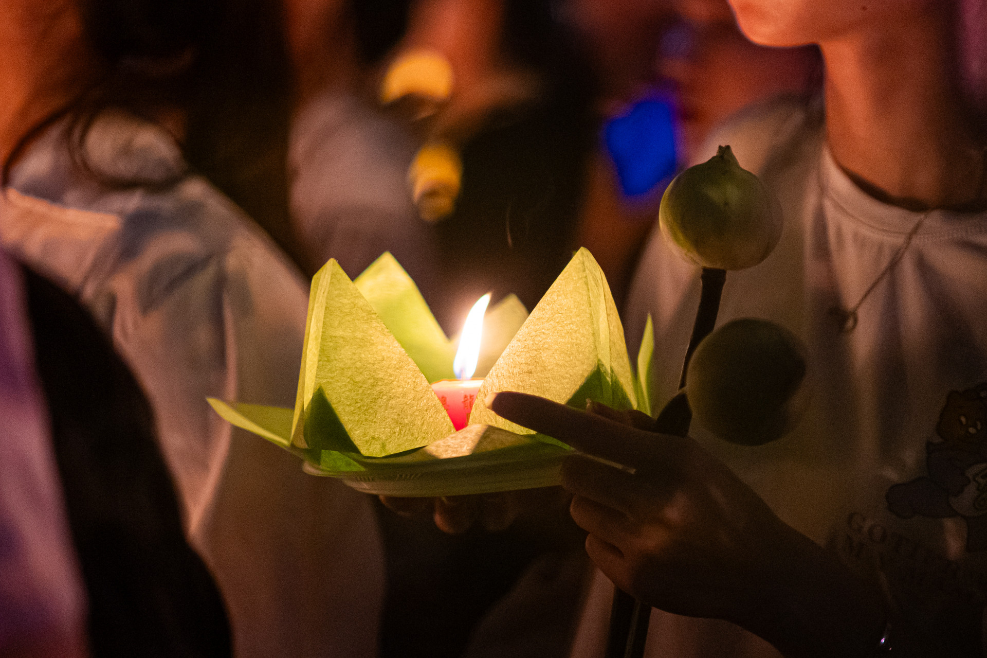 hoa đăng chùa Pháp Hoa nguyễn huế 9.jpg