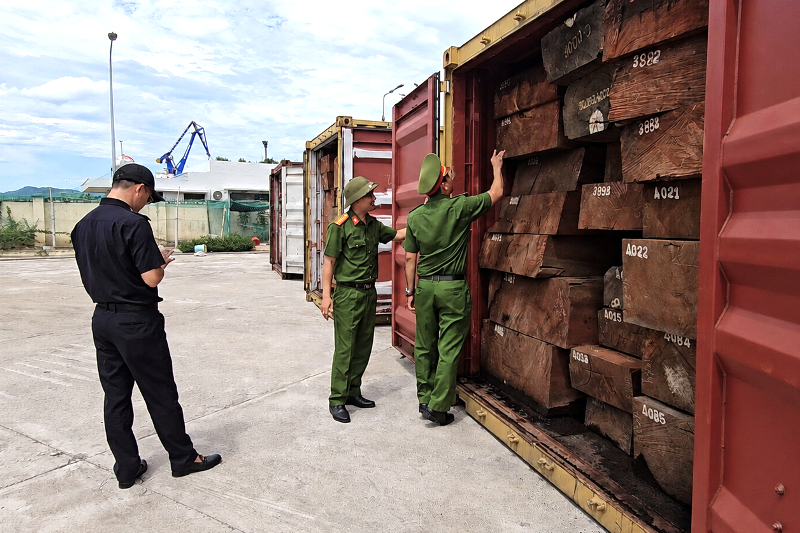 Phát hiện 1,2 tấn ngà voi giấu trong 3 container gỗ ở Gia Lai