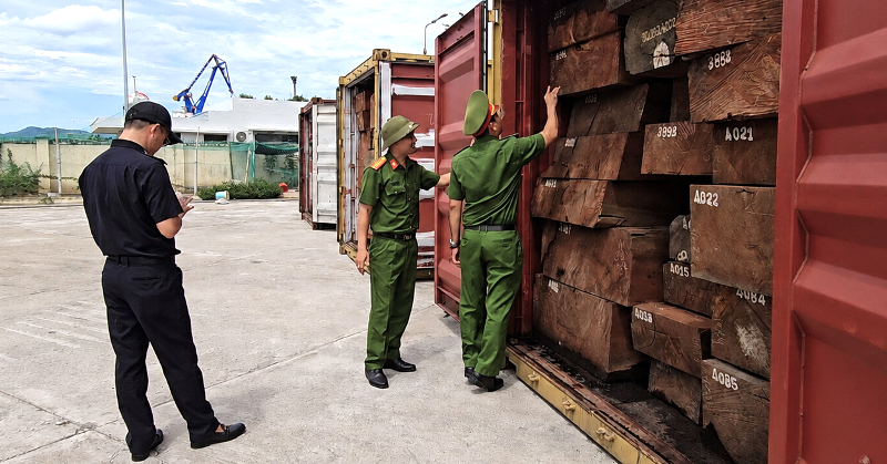 Phát hiện 1,2 tấn ngà voi giấu trong 3 container gỗ