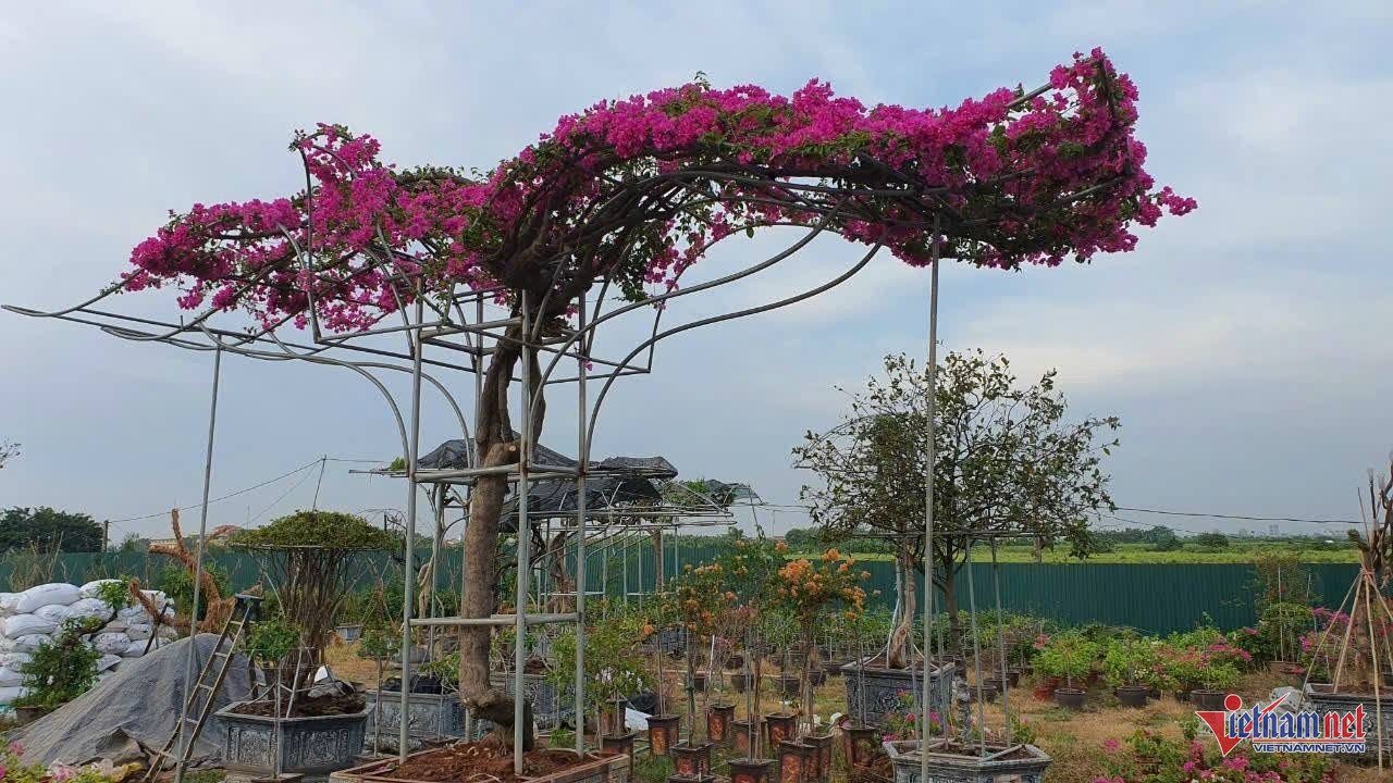 W-749584777_2104707183800916_1449374346077026769_n.jpg