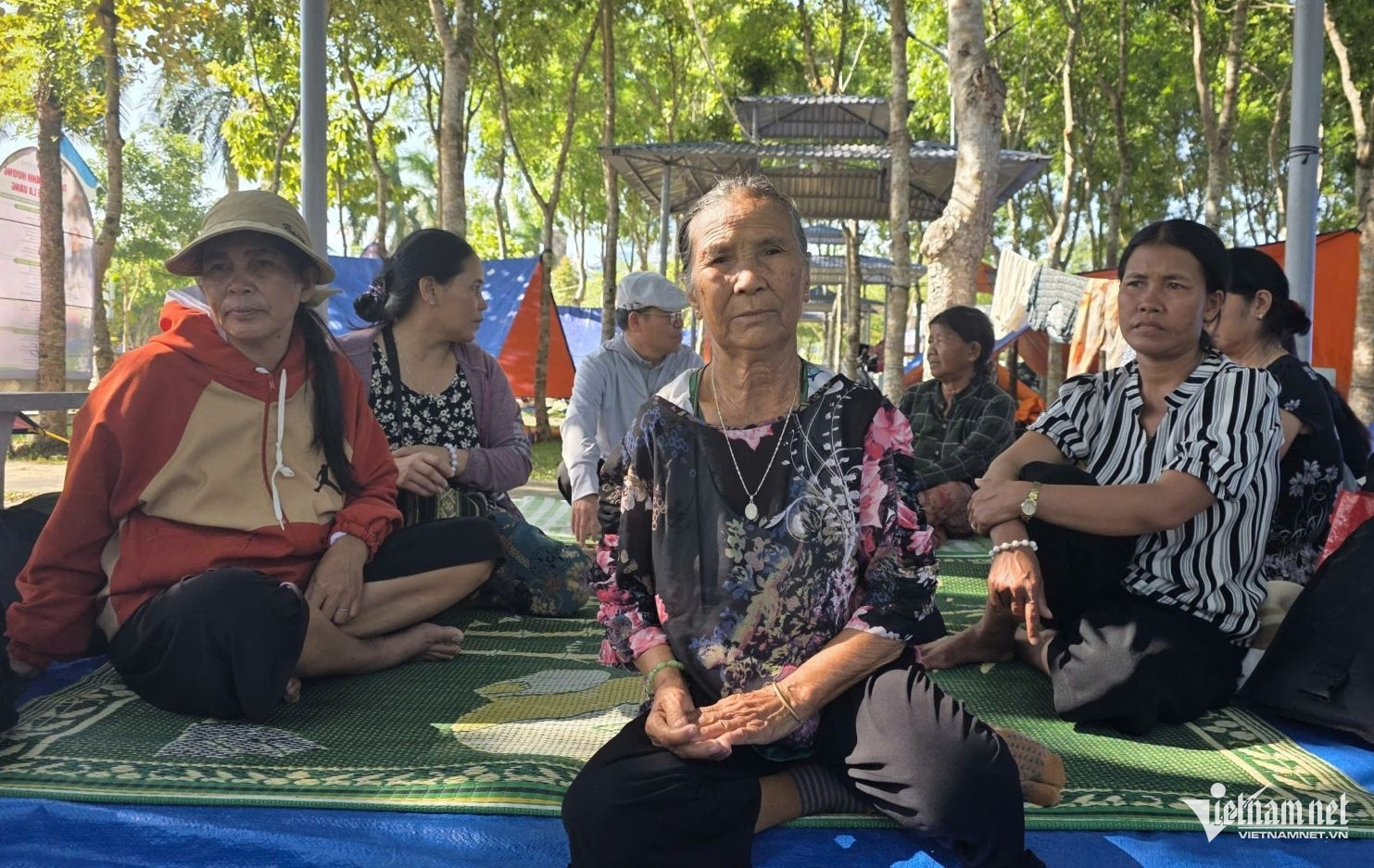 https://static-images.vnncdn.net/vps_images_publish/000001/000003/2026/8/13/hang-van-nguoi-ve-la-vang-du-dai-hoi-hanh-huong-lan-thu-32-1755.jpg