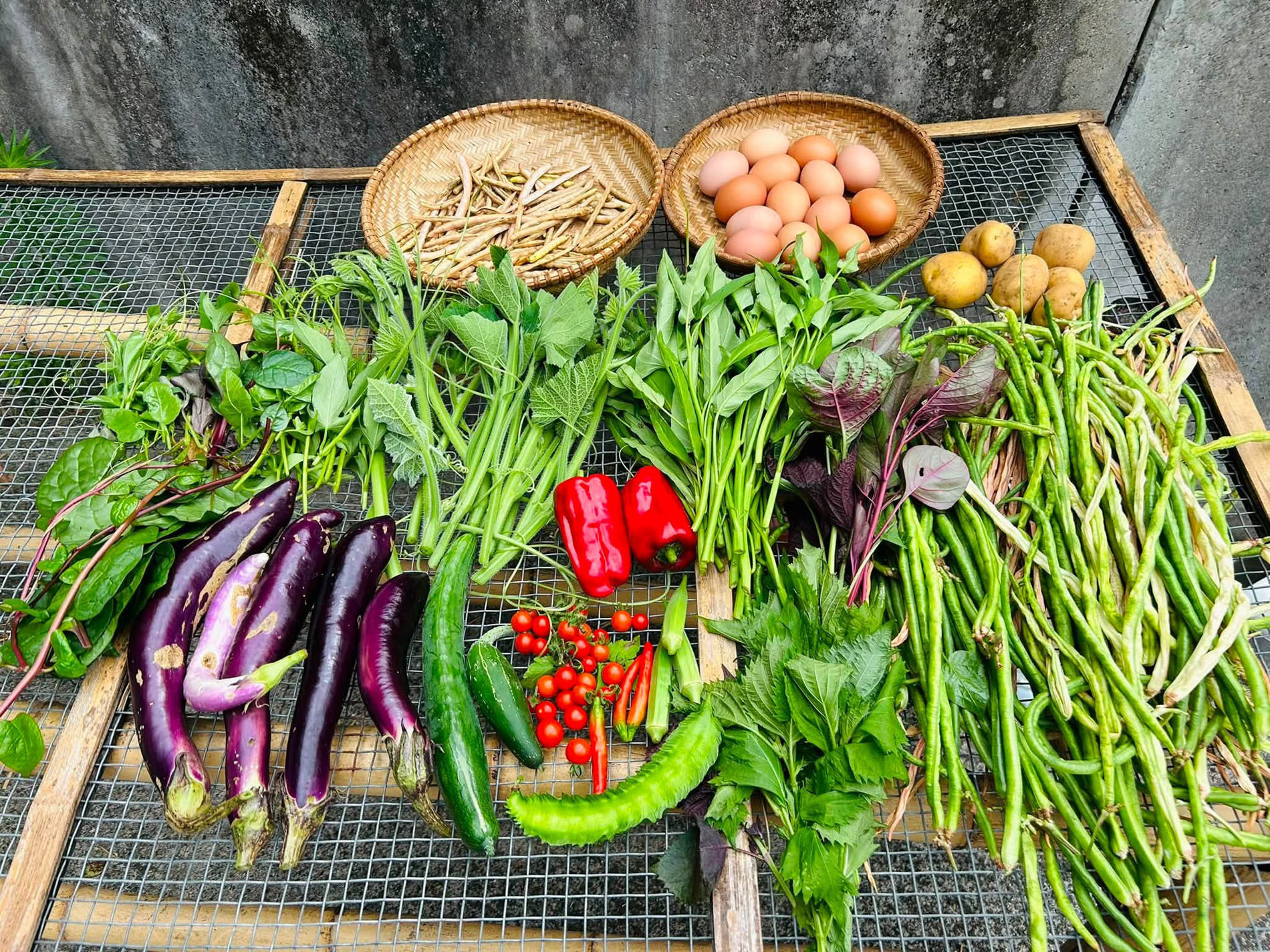 https://static-images.vnncdn.net/vps_images_publish/000001/000003/2026/8/13/nha-vuon-o-ngoai-o-nhat-2038.jpg