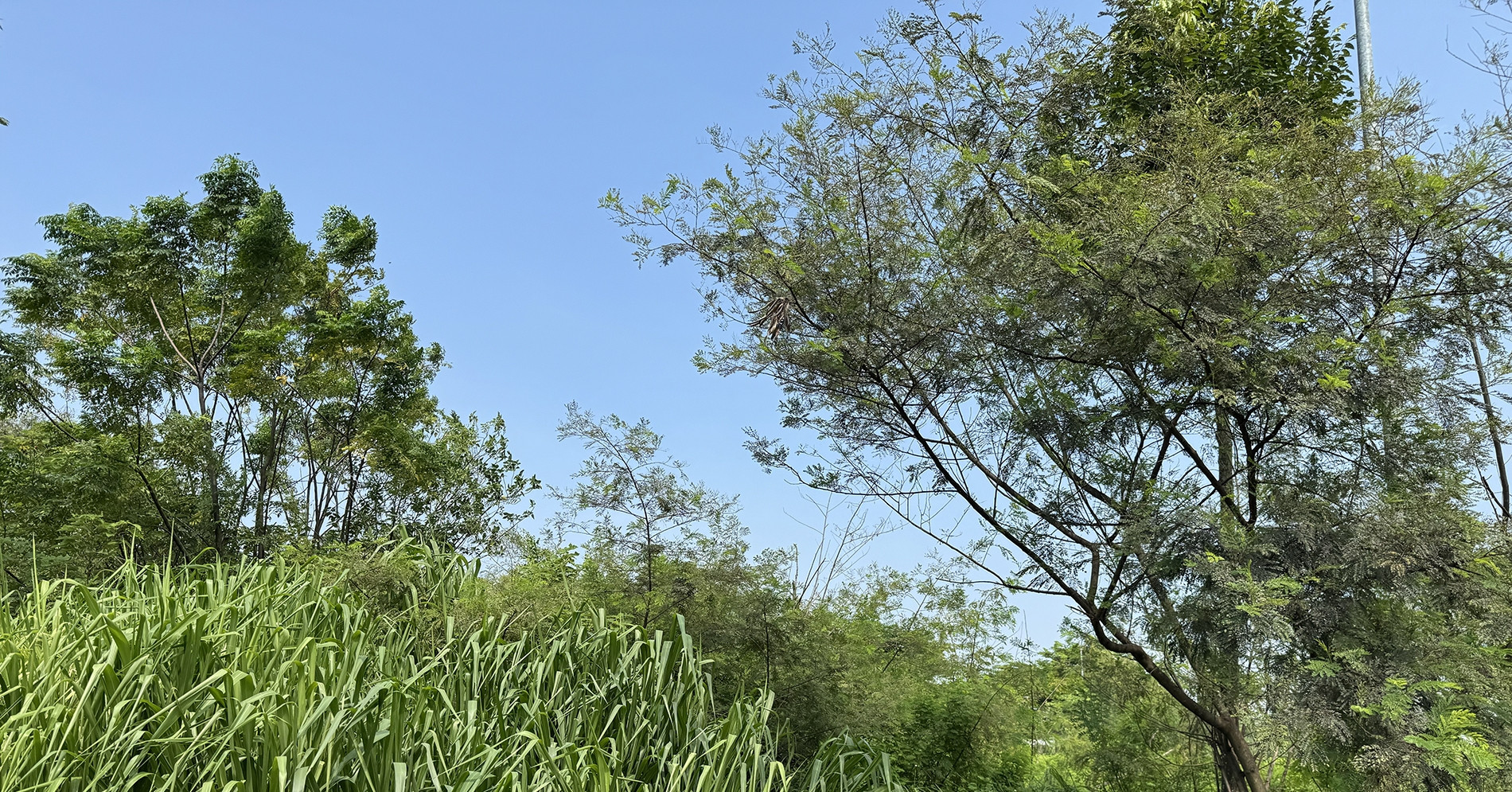 Khu đô thị được ví như ‘Phú Mỹ Hưng của miền Bắc’ vẫn dang dở sau hơn 18 năm