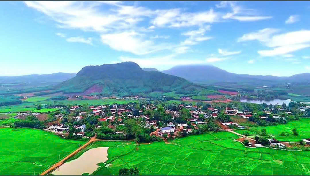 Mới Lập.jpg