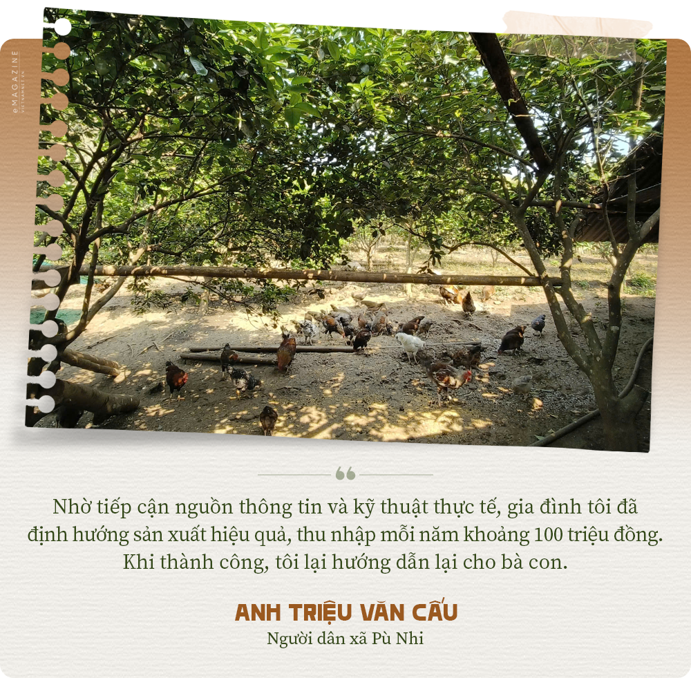 Pu Nhi quote 3.png