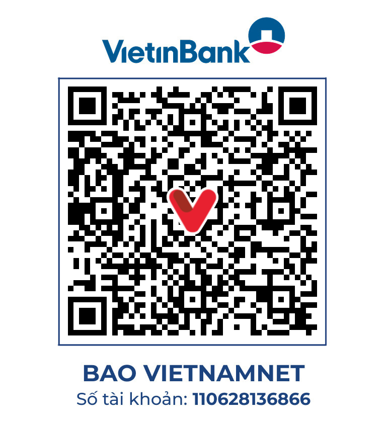 https://static-images.vnncdn.net/vps_images_publish/000001/000003/2026/8/14/vt-218-gia-han-gia-vinh-3051.png