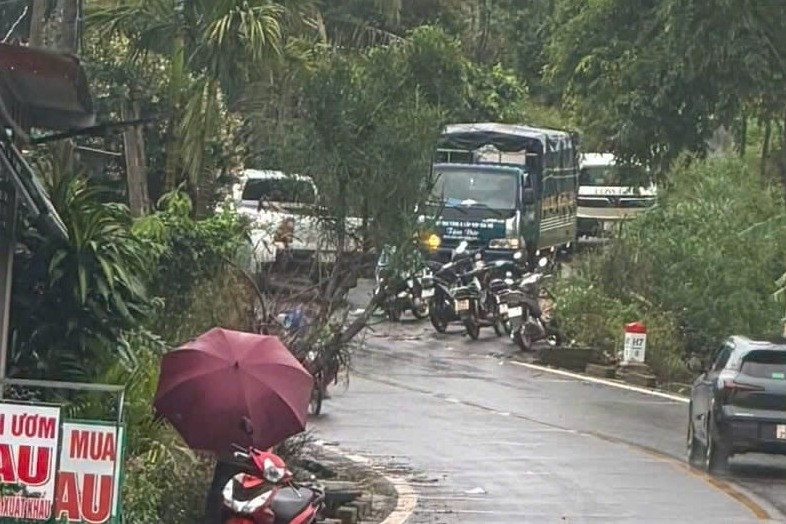 Vụ nữ nhân viên thư viện tử vong: Nghi phạm là giáo viên thể dục