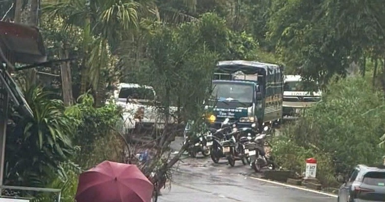Vụ nữ nhân viên thư viện tử vong: Nghi phạm là giáo viên thể dục