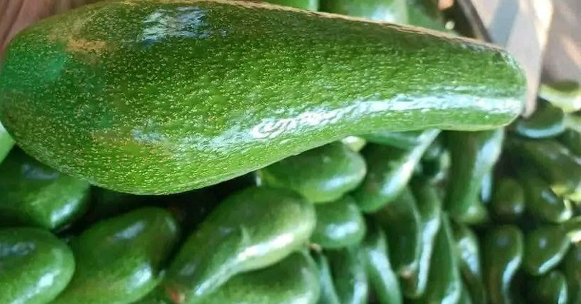 5 nhóm người nên hạn chế ăn quả bơ