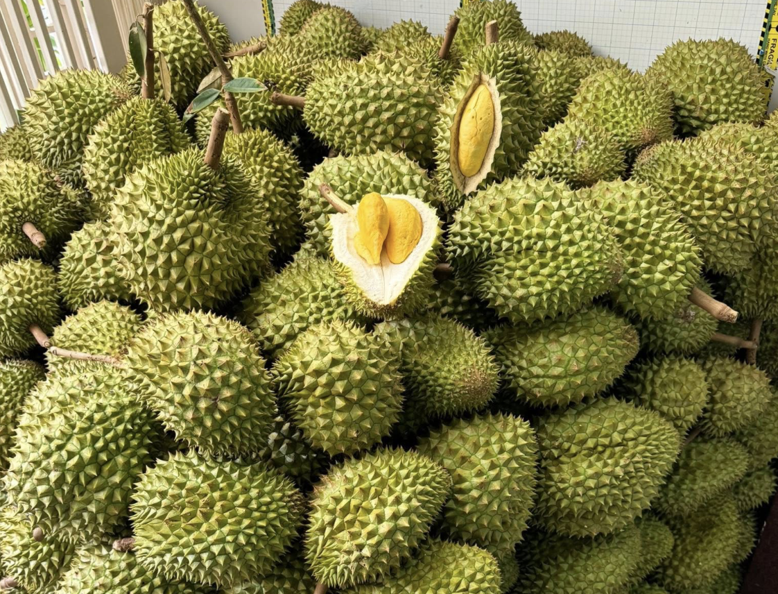 sau rieng