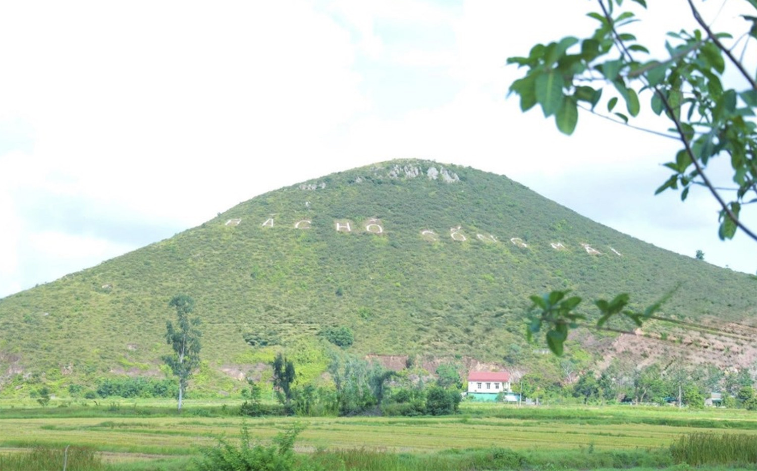 ghép chữ 7.jpg