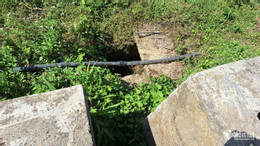 W-anh 12.jpg