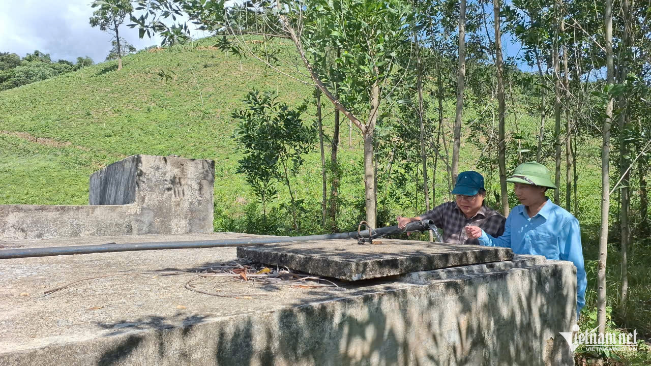 W-anh 25.jpg