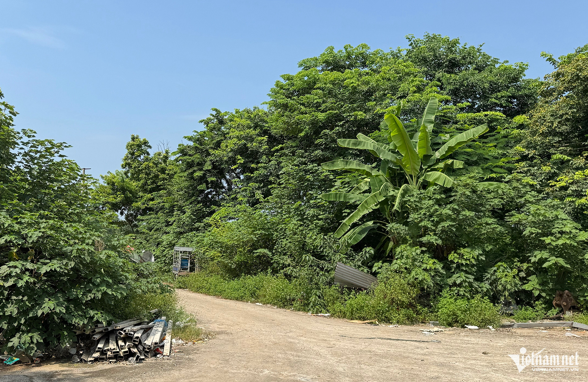 W-bo hoang.jpg