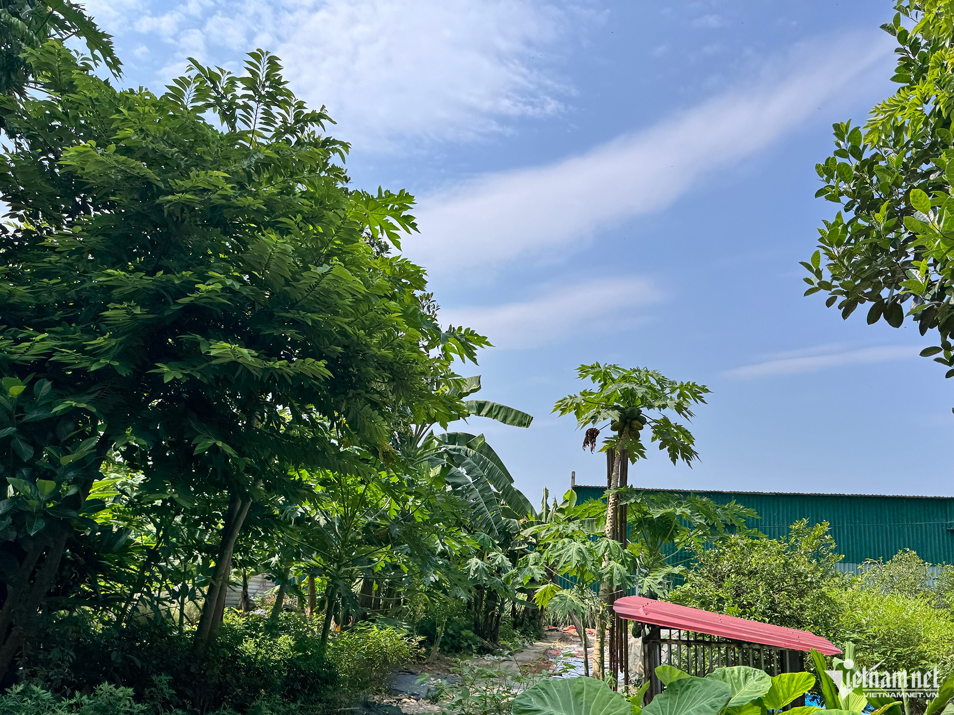W-du an bo hoang .jpg