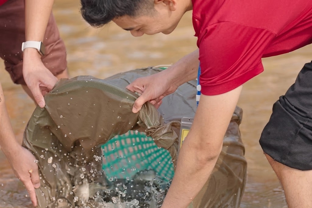 Không đặt mua động vật để phục vụ nhu cầu phóng sinh trong mùa Vu Lan