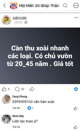 mua ban than 6.png