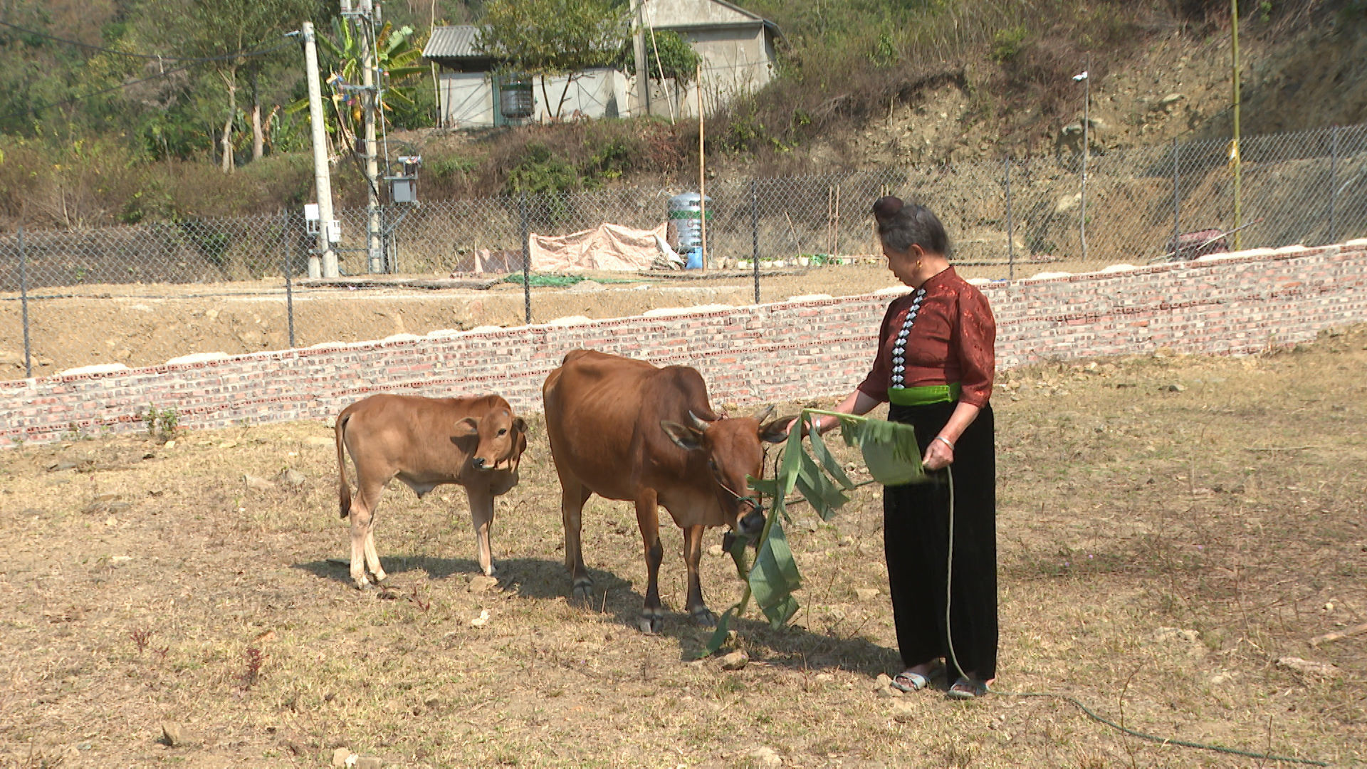anh so 3.jpg
