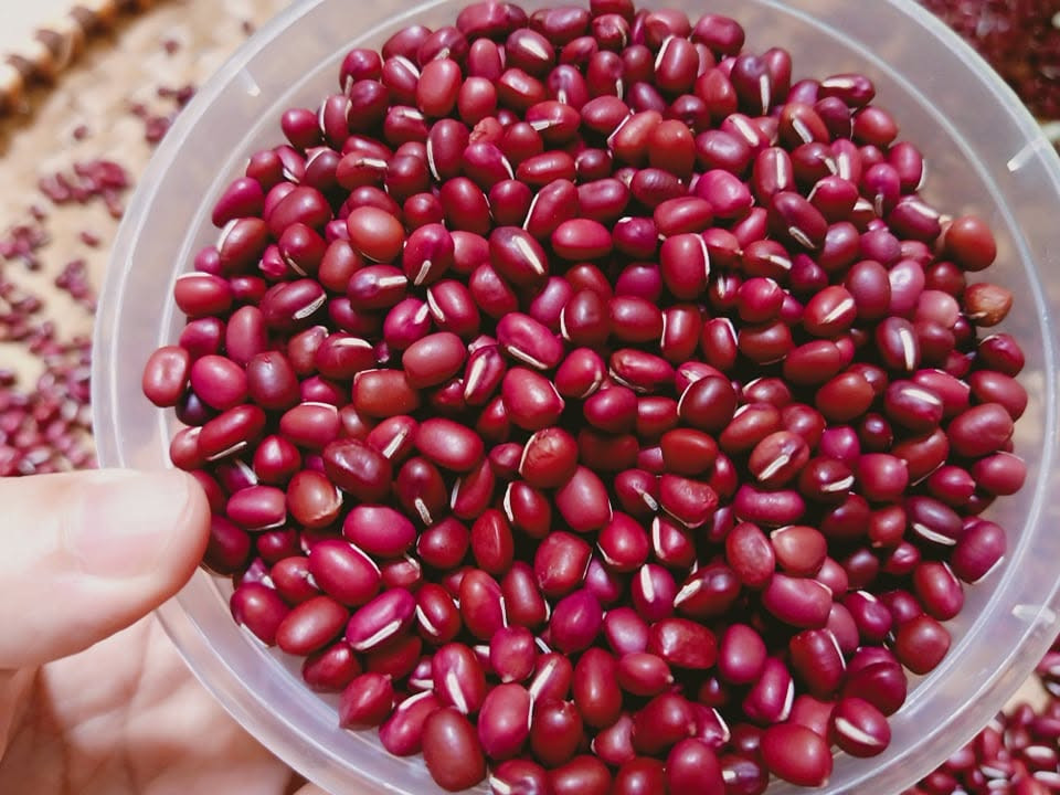 đậu đỏ có tác dụng gì