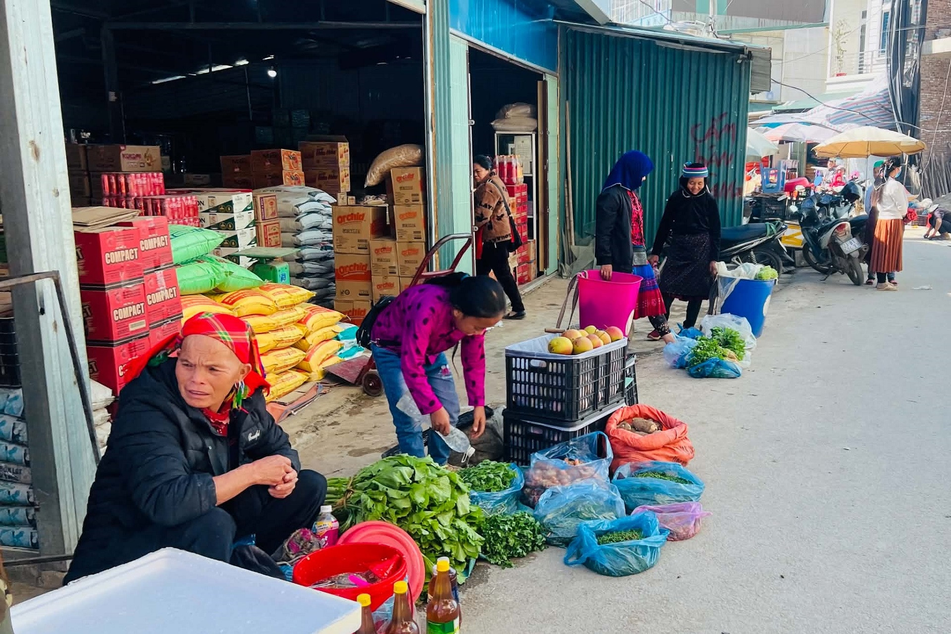 Muốn giảm nghèo thông tin bền vững, người dân phải có năng lực số