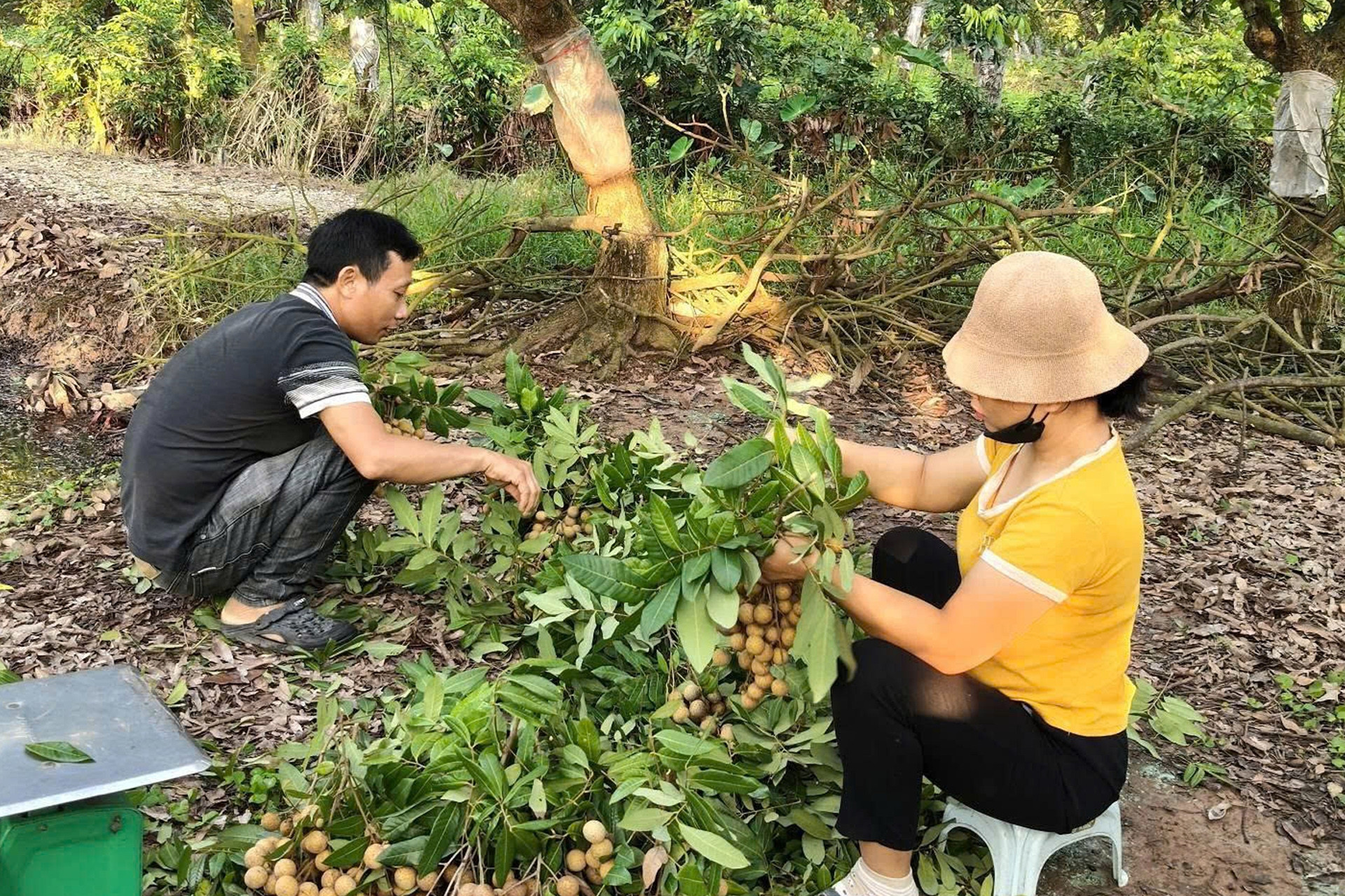 Tuyên truyền để người dân hiểu và chủ động tham gia xây dựng nông thôn mới