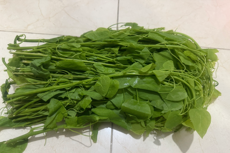 5 loại cây có tên lạ là vị thuốc nhiều tác dụng bất ngờ