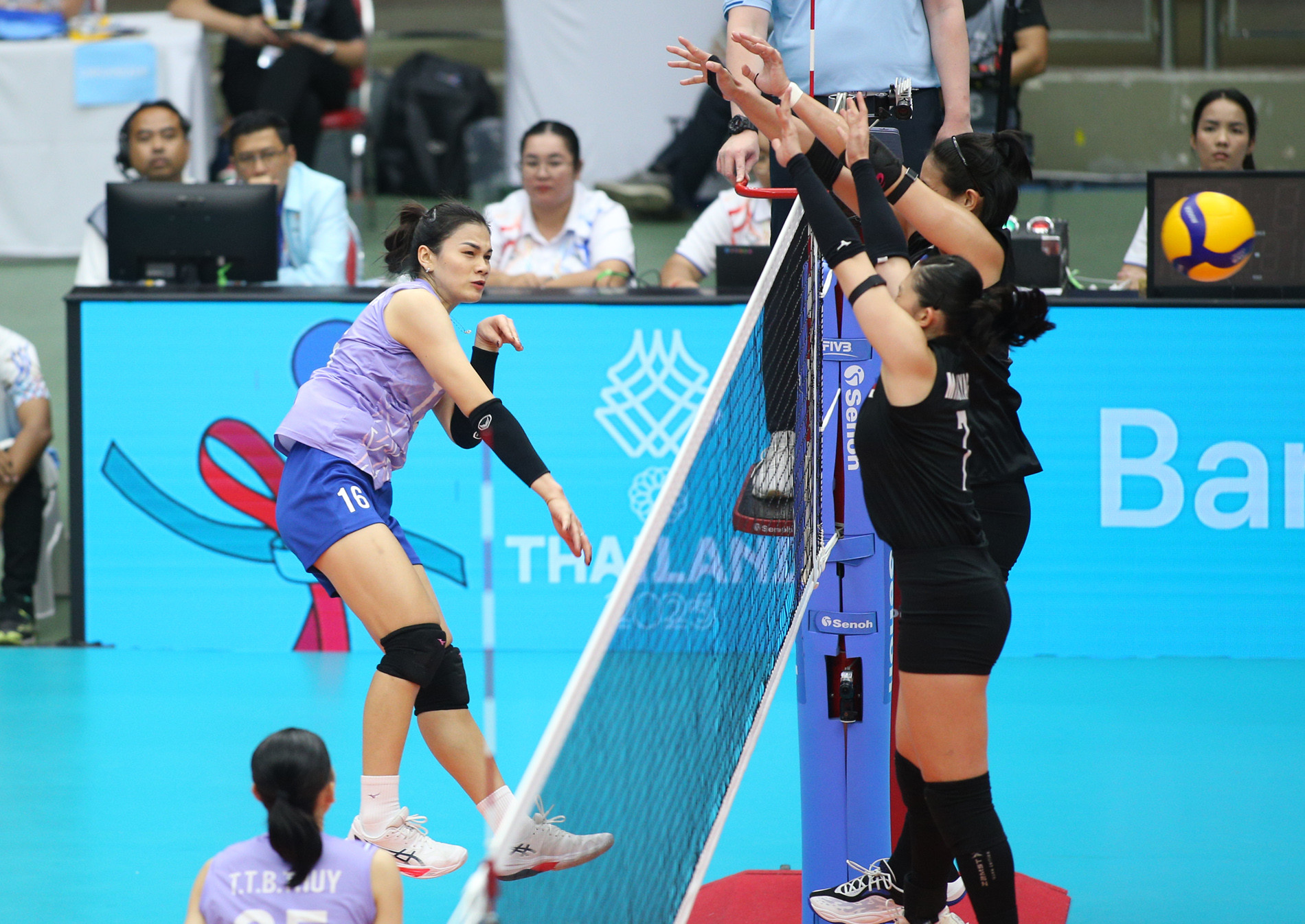 vi nhu quynh 2.JPG