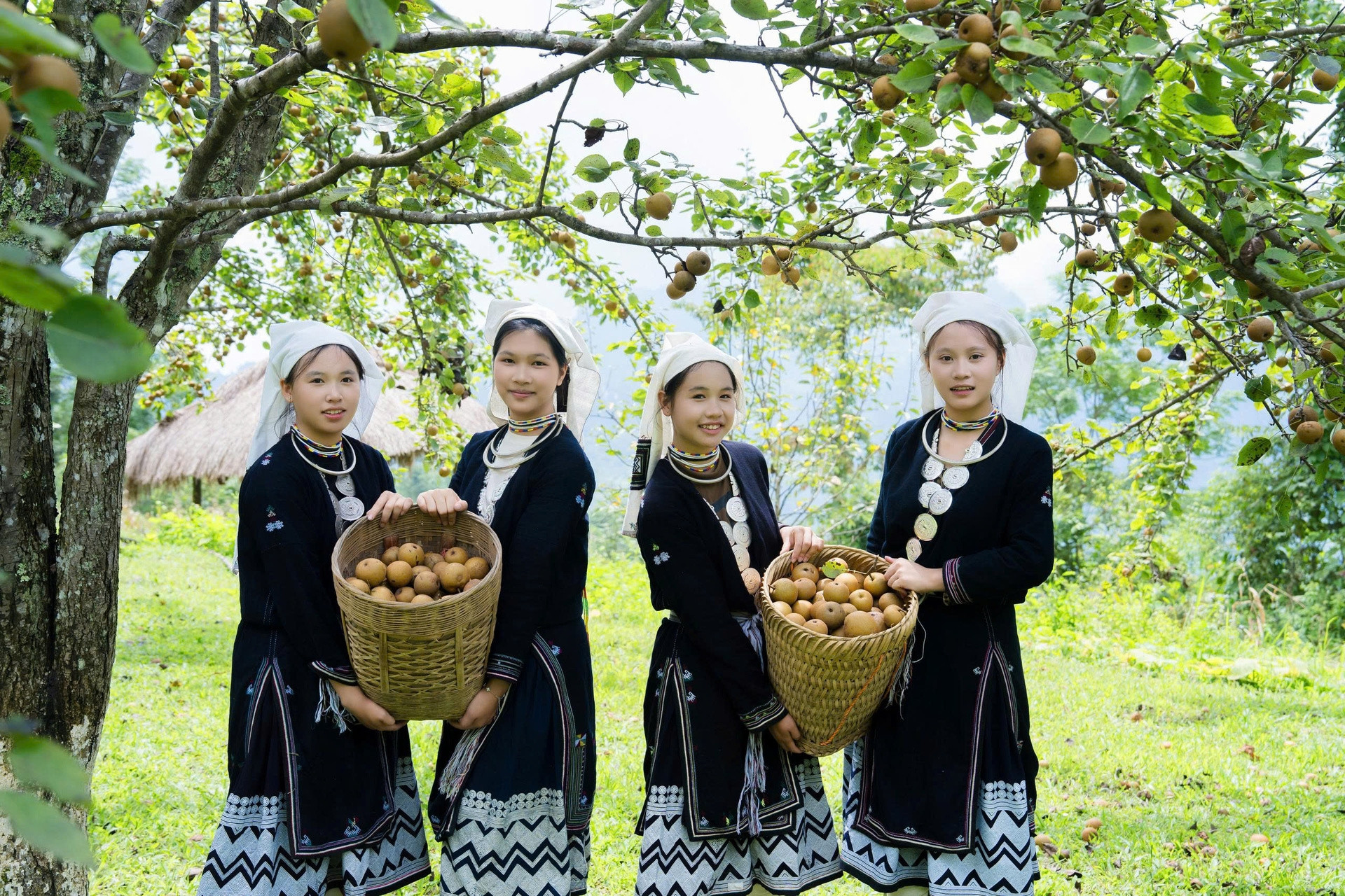 Địa điểm du lịch 2/9 ở miền Bắc: Hái lê giữa núi rừng, khám phá đảo hoang sơ