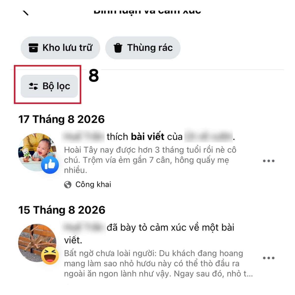 cmt fb 3.jpg