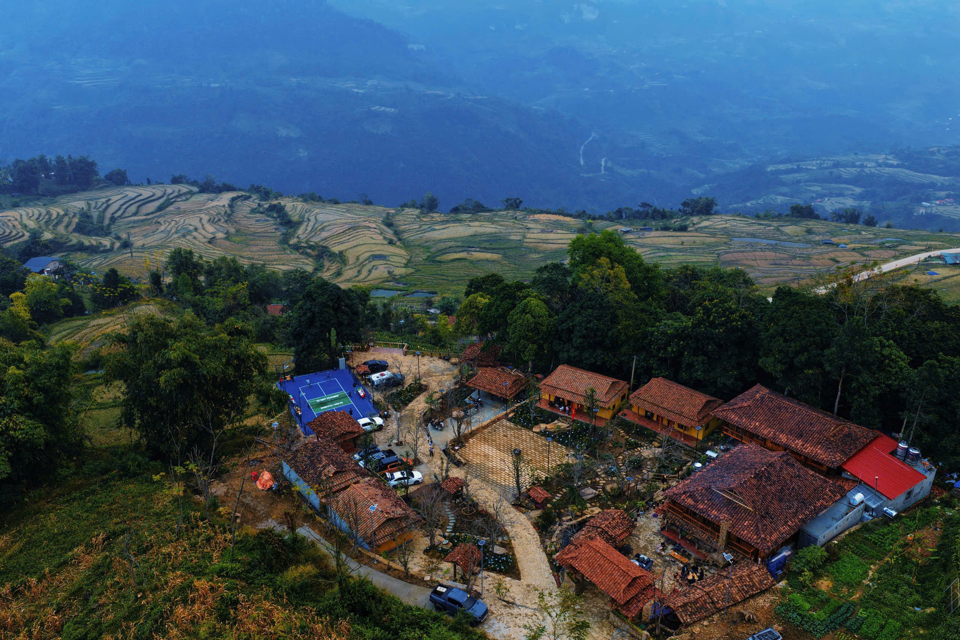 mùa lê hồng thái