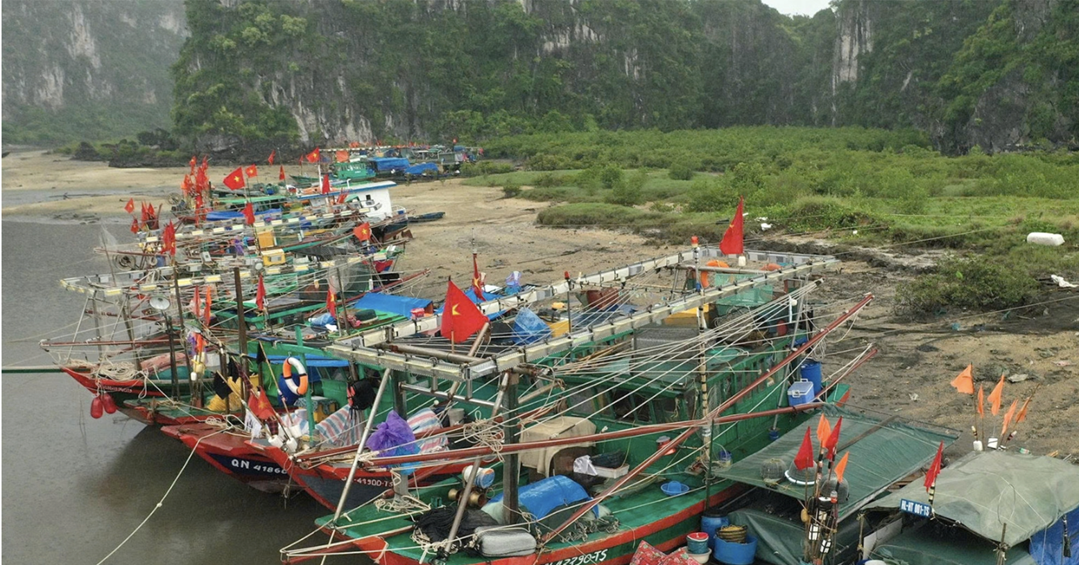 Ảnh hưởng bão số 4, Quảng Ninh tạm ngừng cấp phép tàu ra khơi