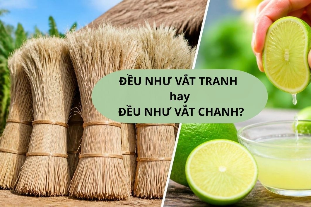 Cách viết nào mới đúng: Đều như vắt tranh hay Đều như vắt chanh?